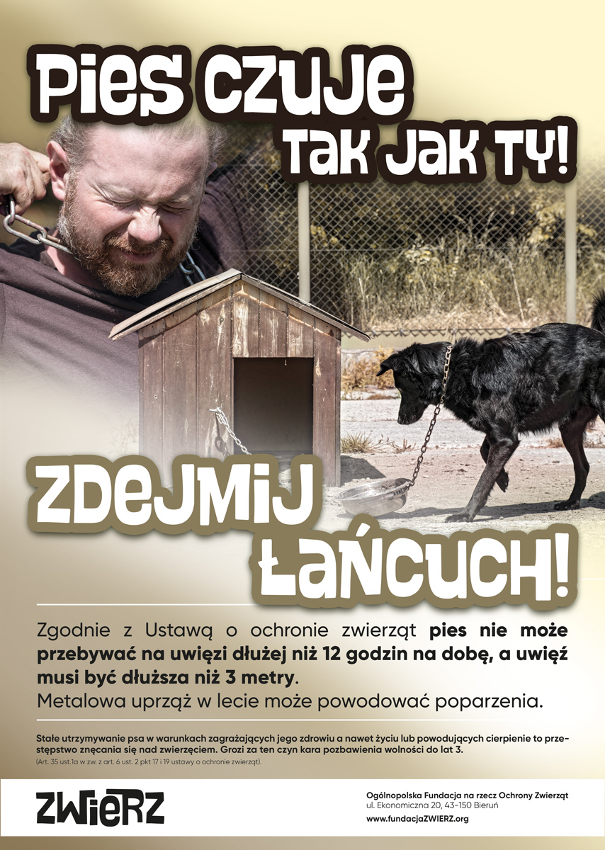 plakat ZWIERZ2