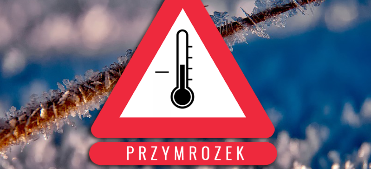 Przymrozek - logo