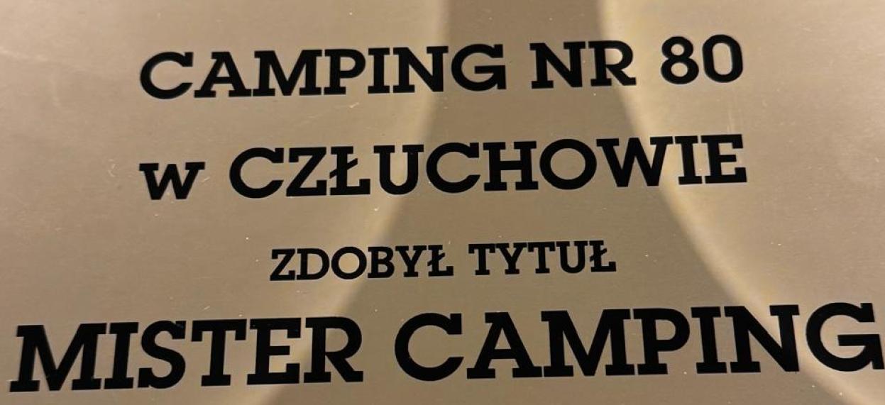 mister camping 2024