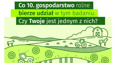 grafika